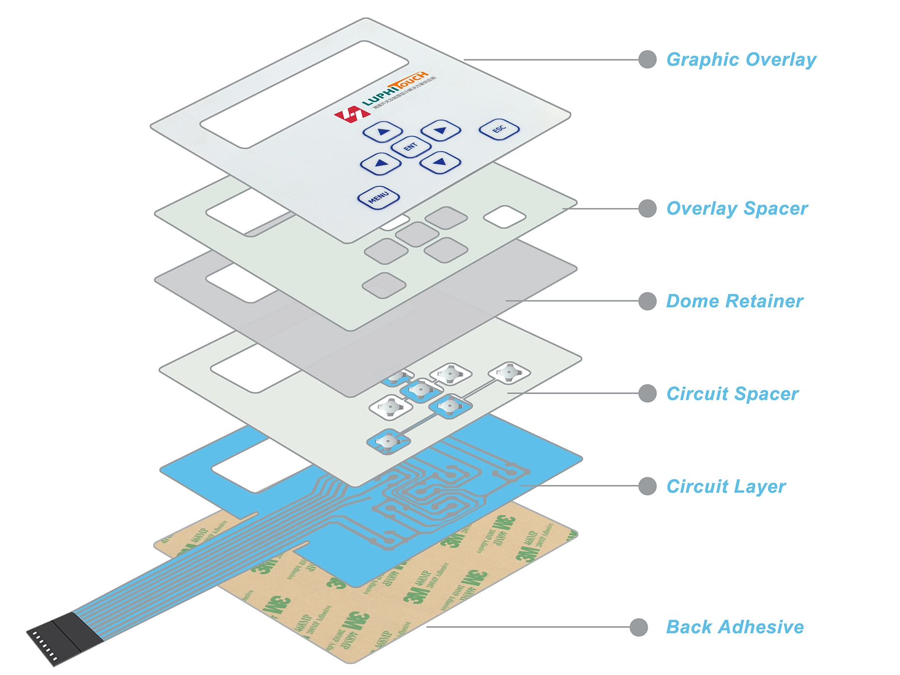 Definition and Structure of Membrane Switches