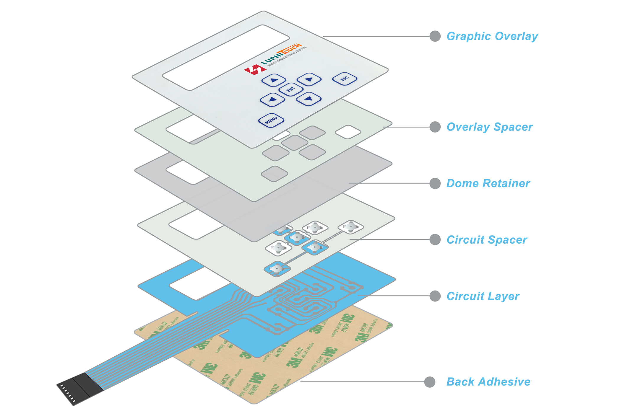Components of a Membrane Switch