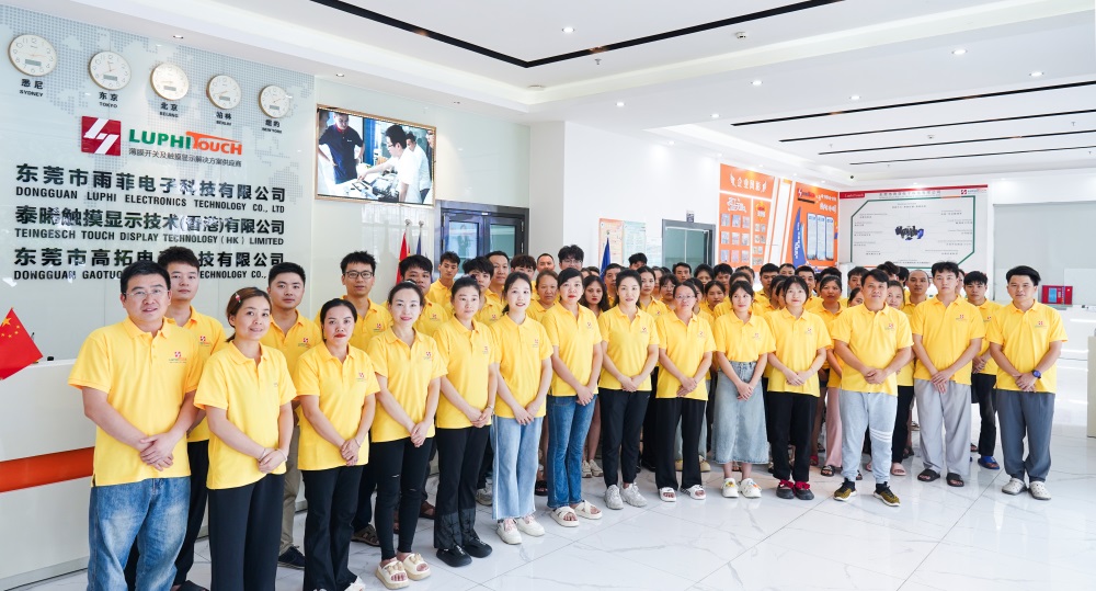 Luphi Electronics team photo