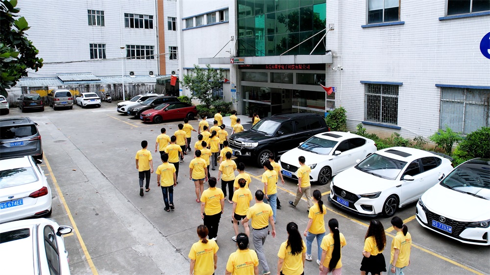 Photo of Luphi Electronics employees on their way to work